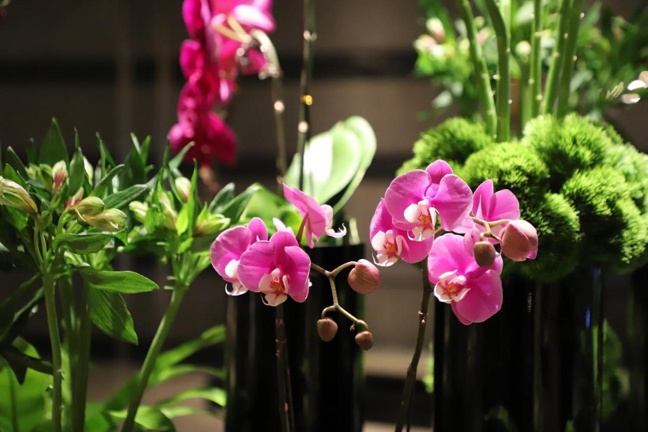 Renaissance Beijing Capital Hotel Luaran gambar